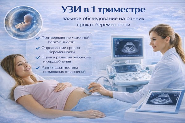 УЗИ в 1 триместре: зачем оно проводится, что показывает и почему это исследование важно на ранних сроках беременности